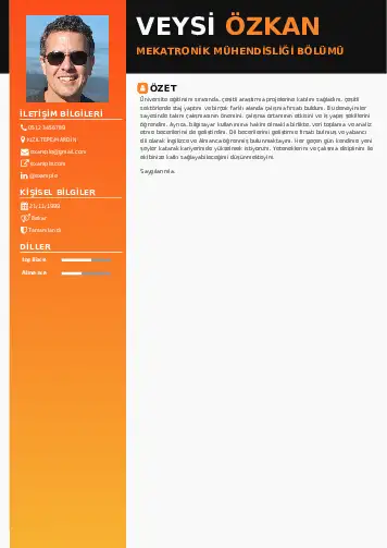 Mekatronik Mühendisliği Cv Örnekleri cv indir